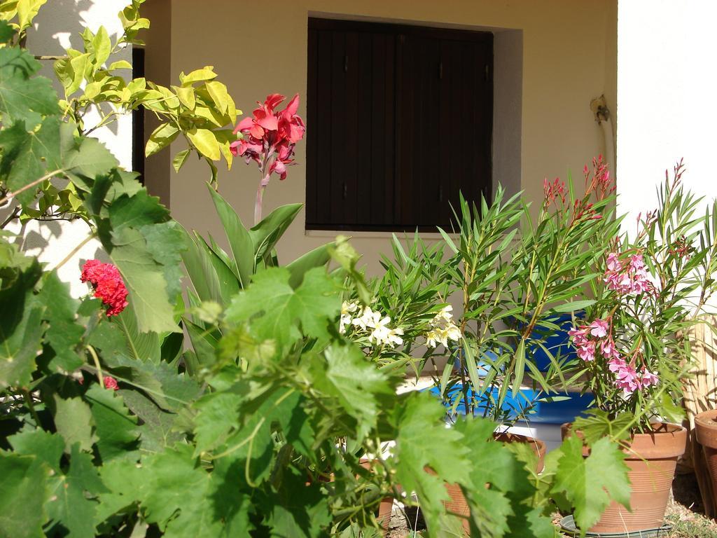 Le Gite Radica Eccica-Suarella  ห้อง รูปภาพ